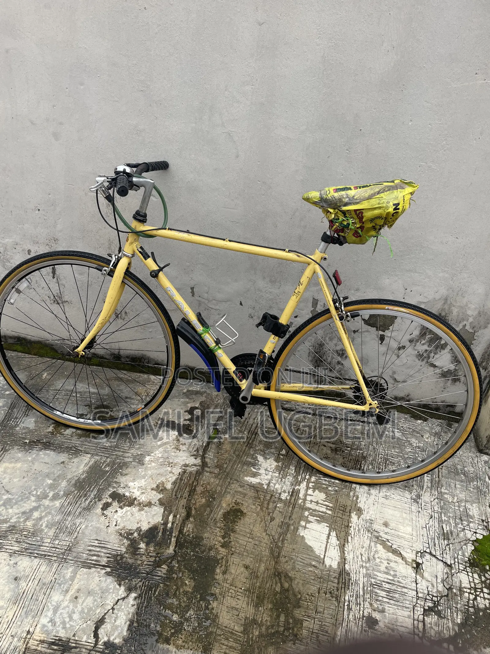 Bicycle Raleigh