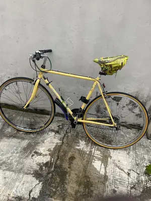 Bicycle Raleigh
