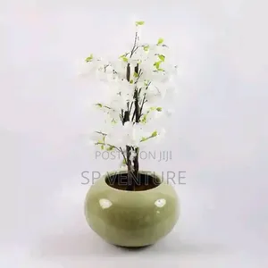 Customize Flower Pot