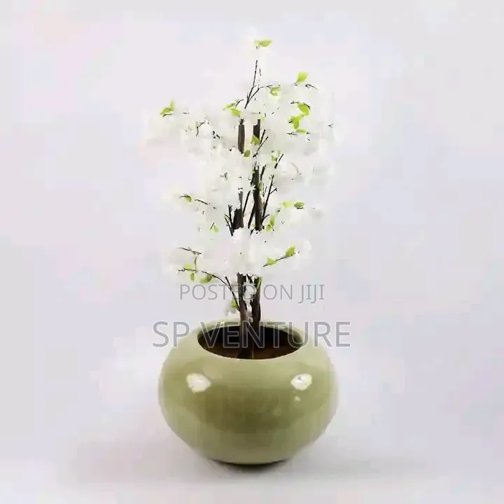 Customize Flower Pot