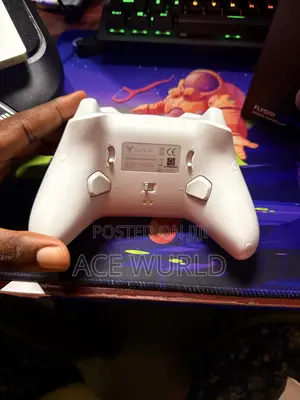 Flydigi Direwolf 4 Pc Controller