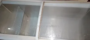 Big Deep Freezer for Business