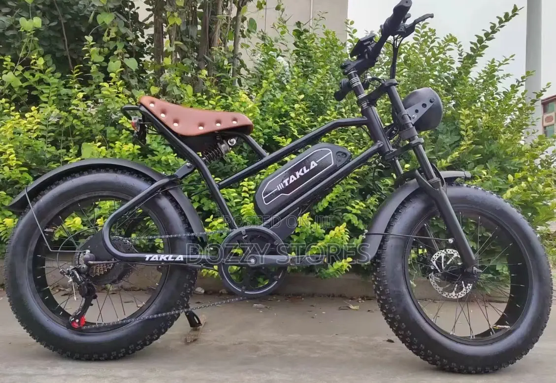 Electric Bicycle