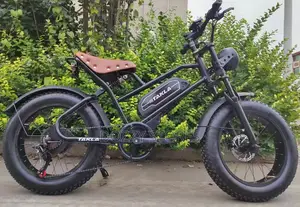 Electric Bicycle