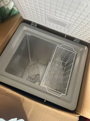 Skyrun Freezer 100l Silver (100hnm)