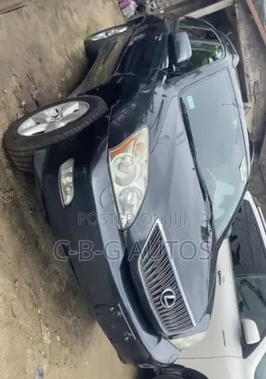 Lexus RX 330 2005 Gray