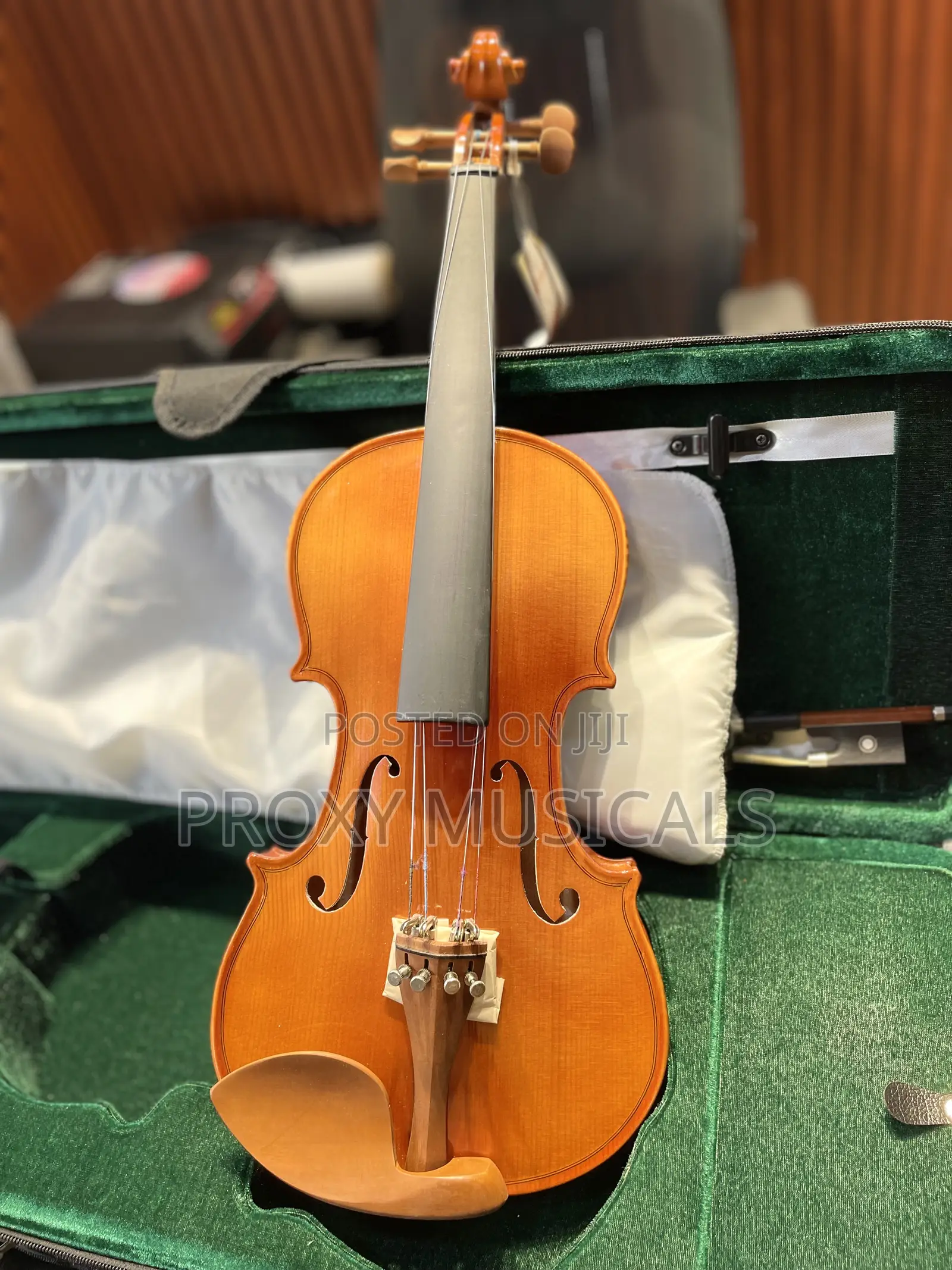 Professional Concert Violin