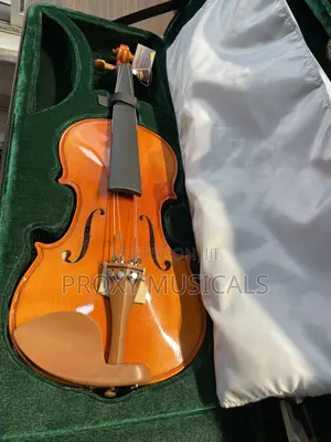 Professional Concert Violin