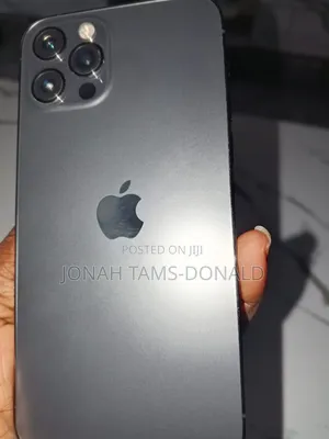 Apple iPhone 12 Pro 256 GB Gray