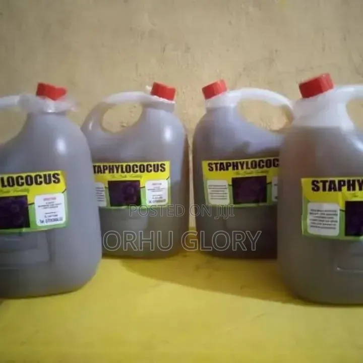 Staphylococcus