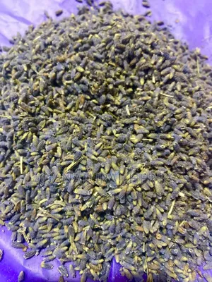 Lavender Buds