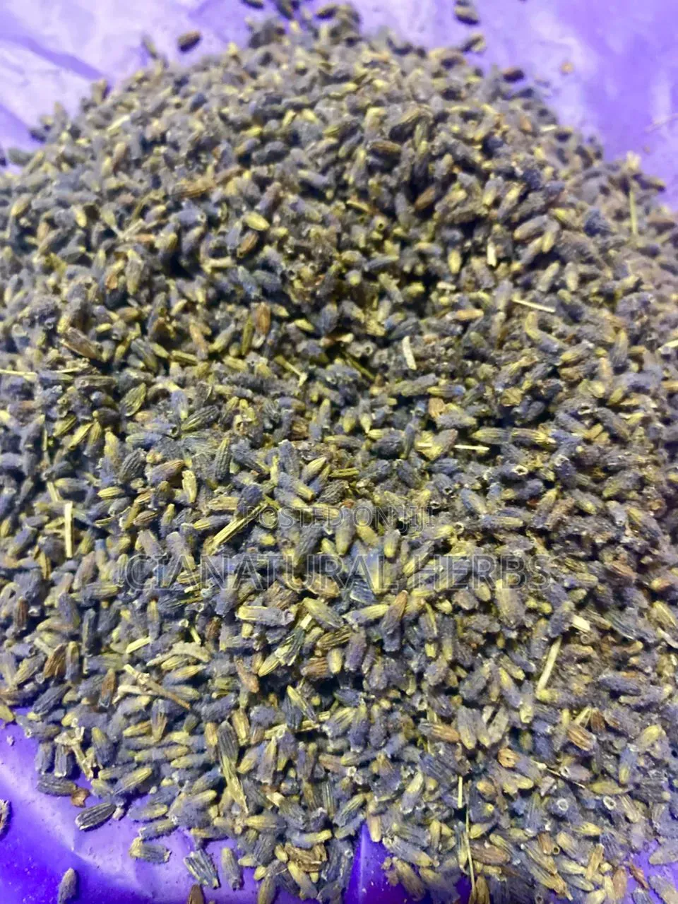 Lavender Buds