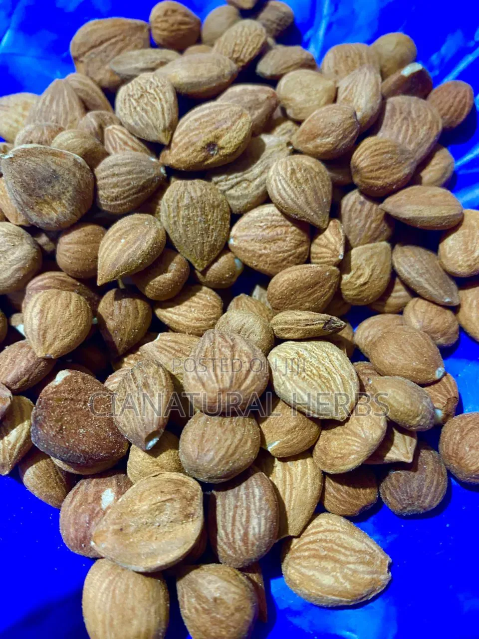 Bitter Apricot Kernel