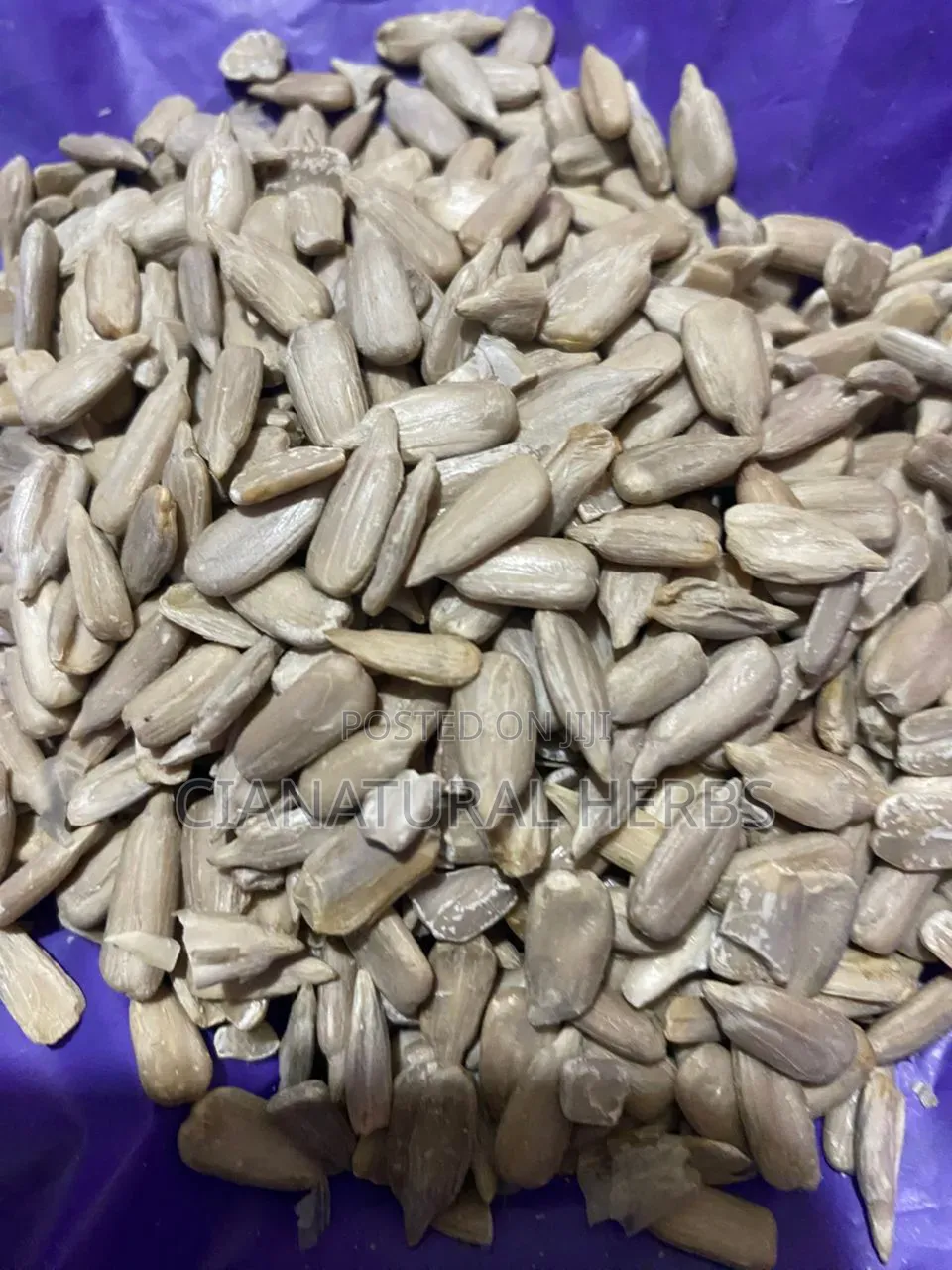Sunflower Seeds