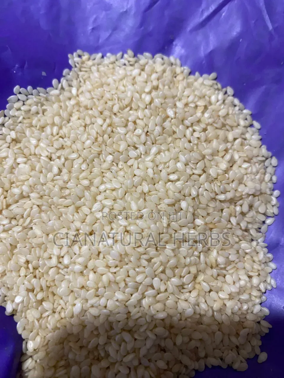 Sesame Seeds