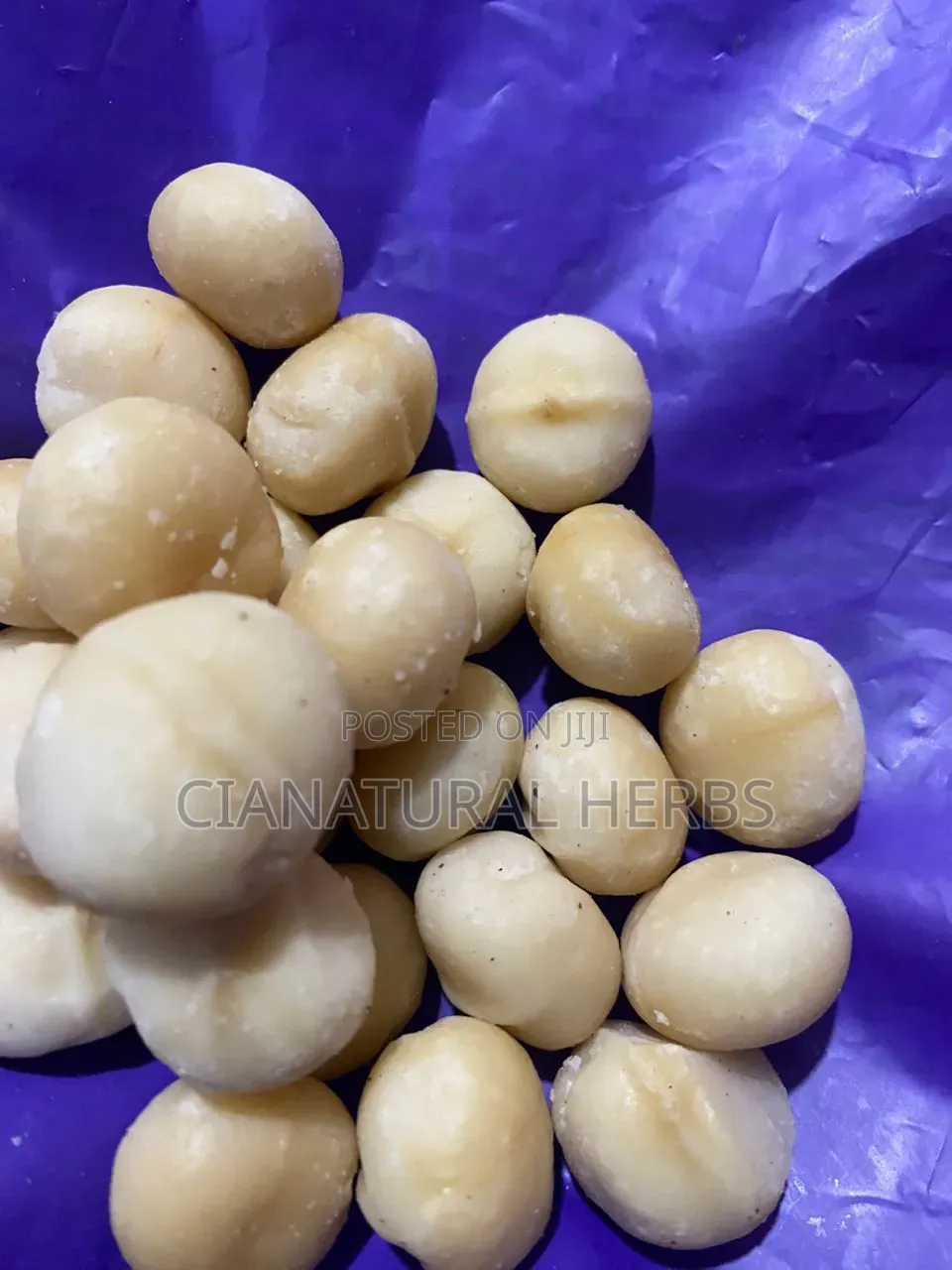 Macadamia Nuts