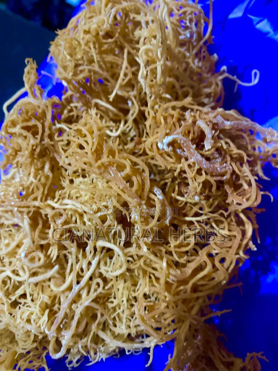 Wild Crafted Sea Moss
