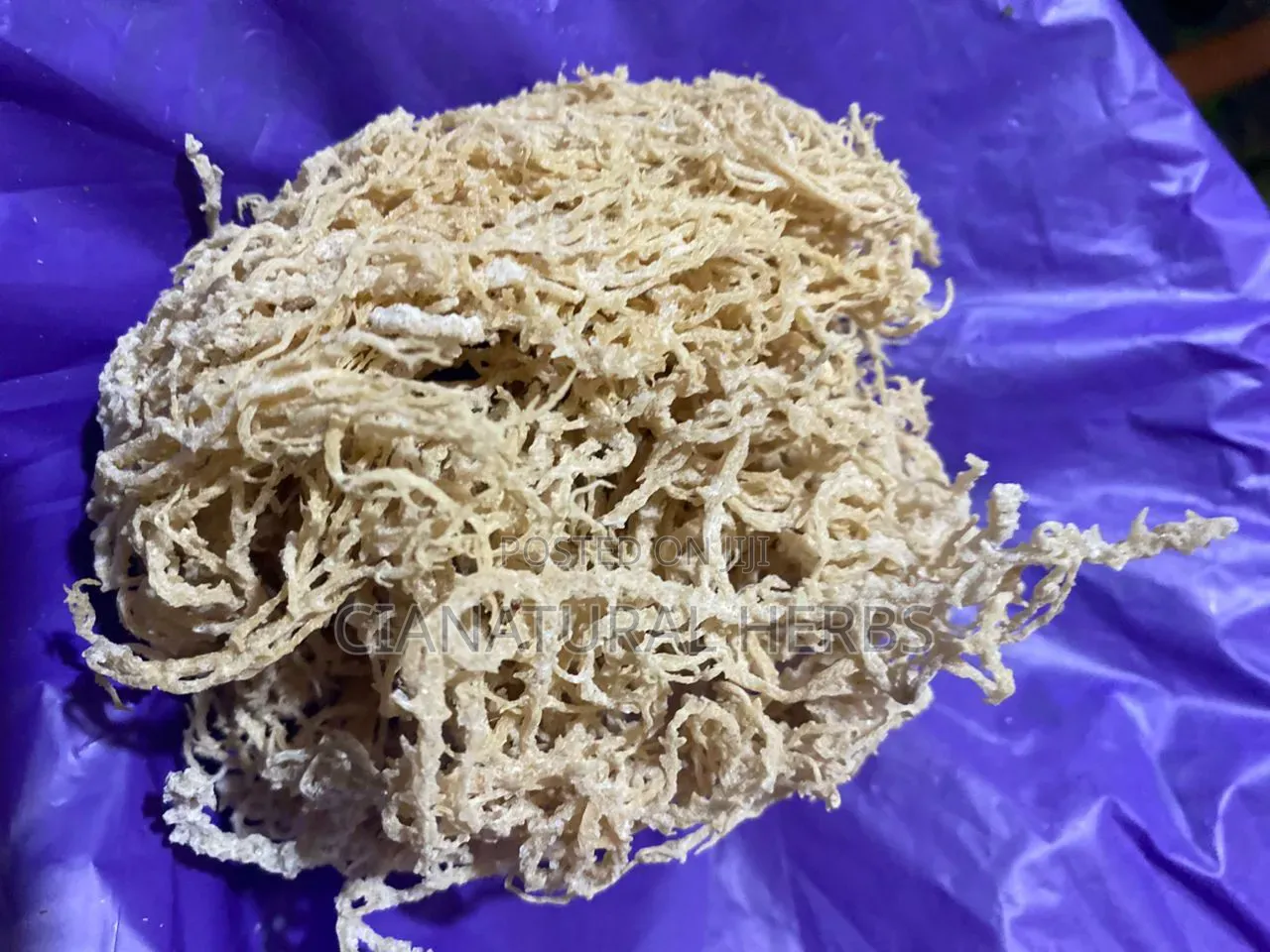 Irish Sea Moss