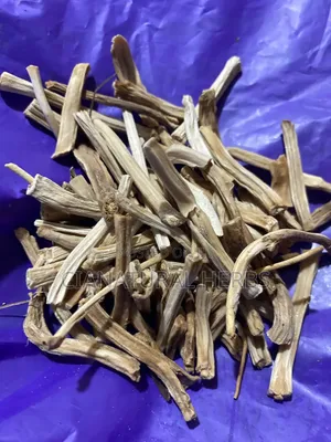 Shatavari Herb