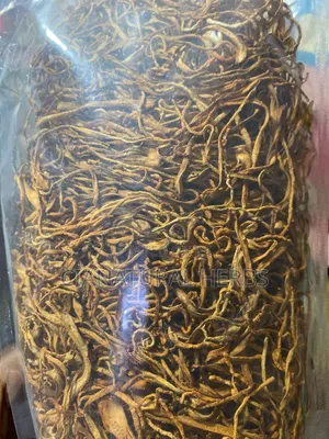 Cordycep Mushroom