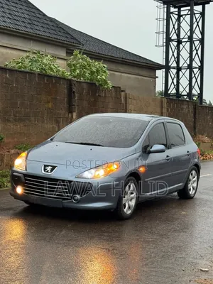 Peugeot 307 2007 Gray