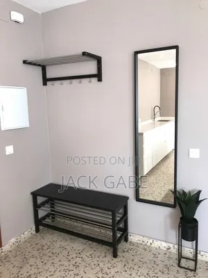 Designer Wall Mirror and Frame
