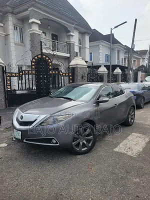 Acura ZDX Base AWD 2010 Gray
