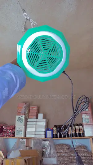 Warm Air Lamp for Brooding