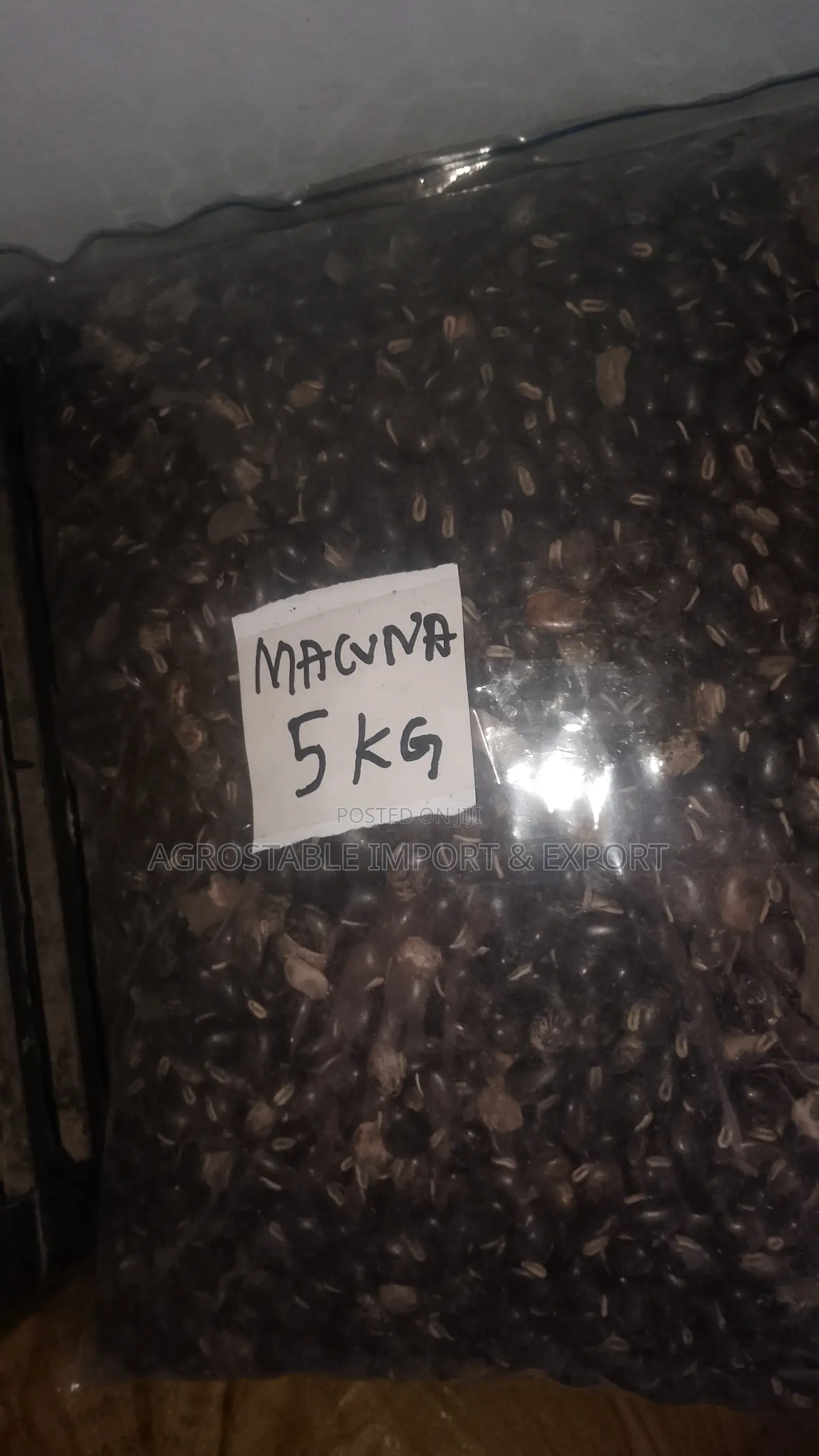 Macuna Seeds