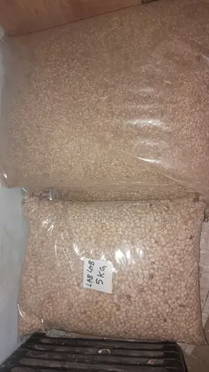 Lablab Seed