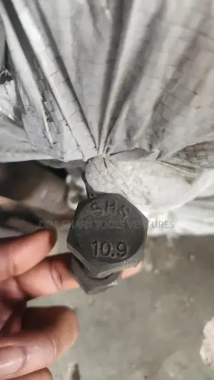 20mmx60mm(2-1⁄2")Grade-10.9 Heavy Duty Steel Bolt Nut