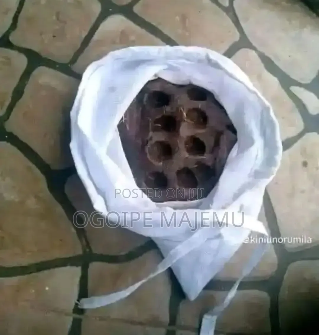 Money Drawing Soap