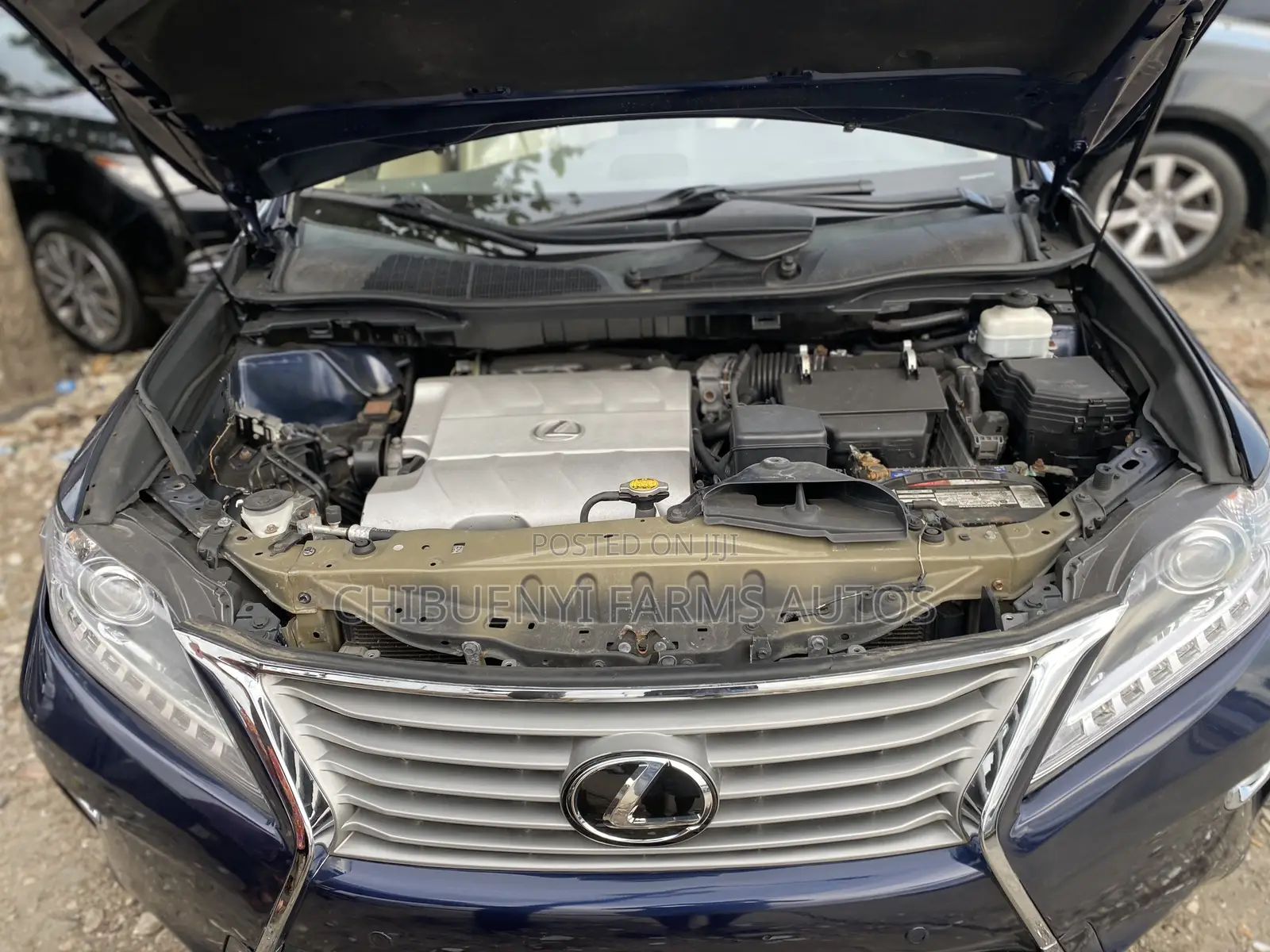 Lexus RX 2012 Blue