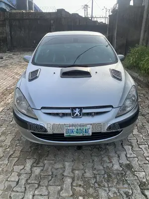 Peugeot 307 2005 Silver
