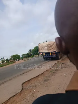Sell of Dangote and Bua Cement Nationwide Distributor