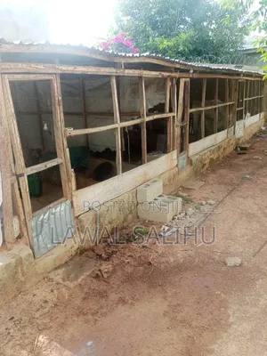 We Are Into Selling of 4 to 5 Weeks Broilers