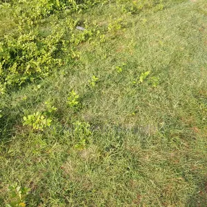 100 Hectares Land at Idu