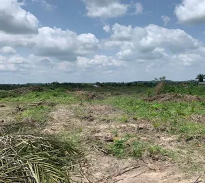 Imota Ikorodu Land With Registered Survey