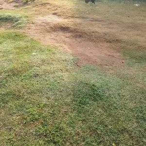 Idu 100 Hectares Private Housing Land
