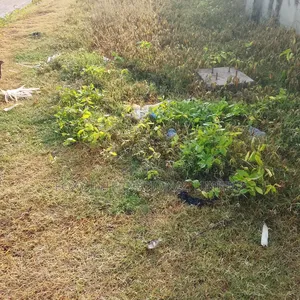 18.8 Hectares Katampe Extension Land