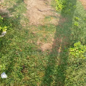 Jahi 5459.56 SQM Multi Purpose Land