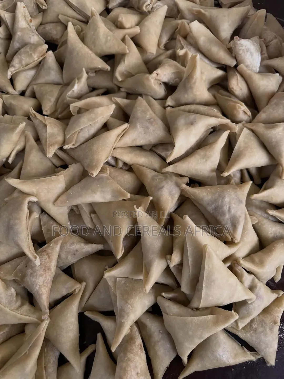 Frozen Samosa