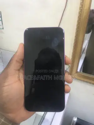 Apple iPhone 16 Plus 256 GB Pink