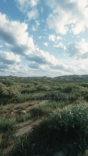 4 Plots of Land, Per Plot