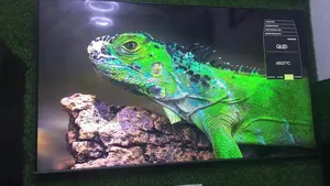 65 Inches Samsung Qled 2023 Q77c