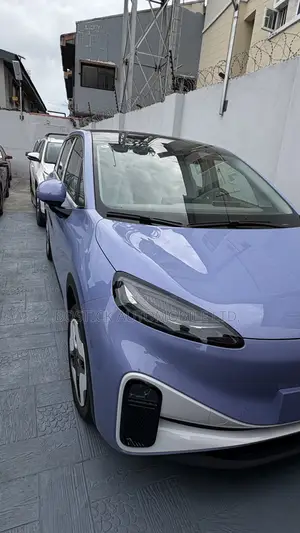 New Arcfox Kaola S 2025 Blue