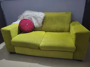 Fairly Used Velvet Couch