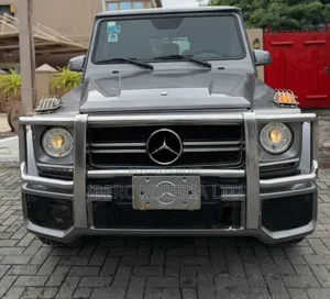 Mercedes-Benz G-Class 2009 Gray