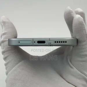 Honor 600 Pro 256 GB Silver