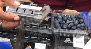 Blueberries 